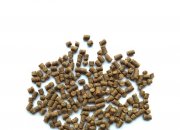 蝦養(yǎng)殖方法和環(huán)境