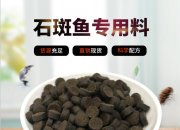 斑魚(yú)飼養(yǎng)方法有哪些？