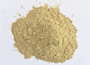 開(kāi)春海參保苗育苗好時(shí)節(jié)    ——海參飼料裕豐當(dāng)先