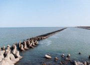 海參按照生產(chǎn)環(huán)境怎么分類？